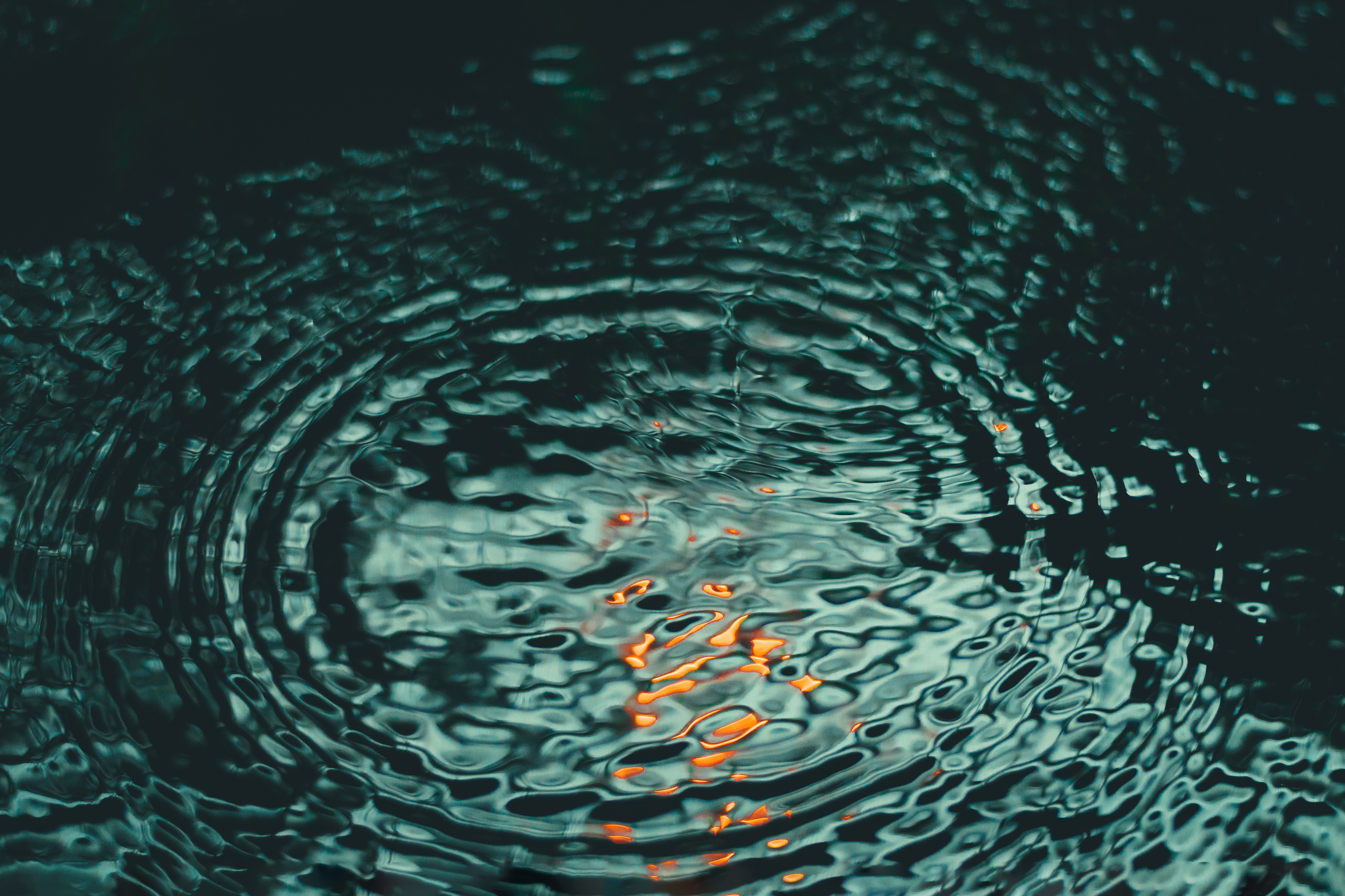 biel-morro-ZpKxweXHqkc-unsplash Assertiviteit, Authenticiteit, Balans, Burn-out, Coach, Coaching, Deventer, Inge Hoogeveen, innerlijke kracht, Lichaamssignalen, Patronen Doorbreken, Persoonlijk leiderschap, Persoonlijke ontwikkeling, Professionele Groei, Stress, zelfvertrouwen, Zelfzorg. Nieuwe Keuzes