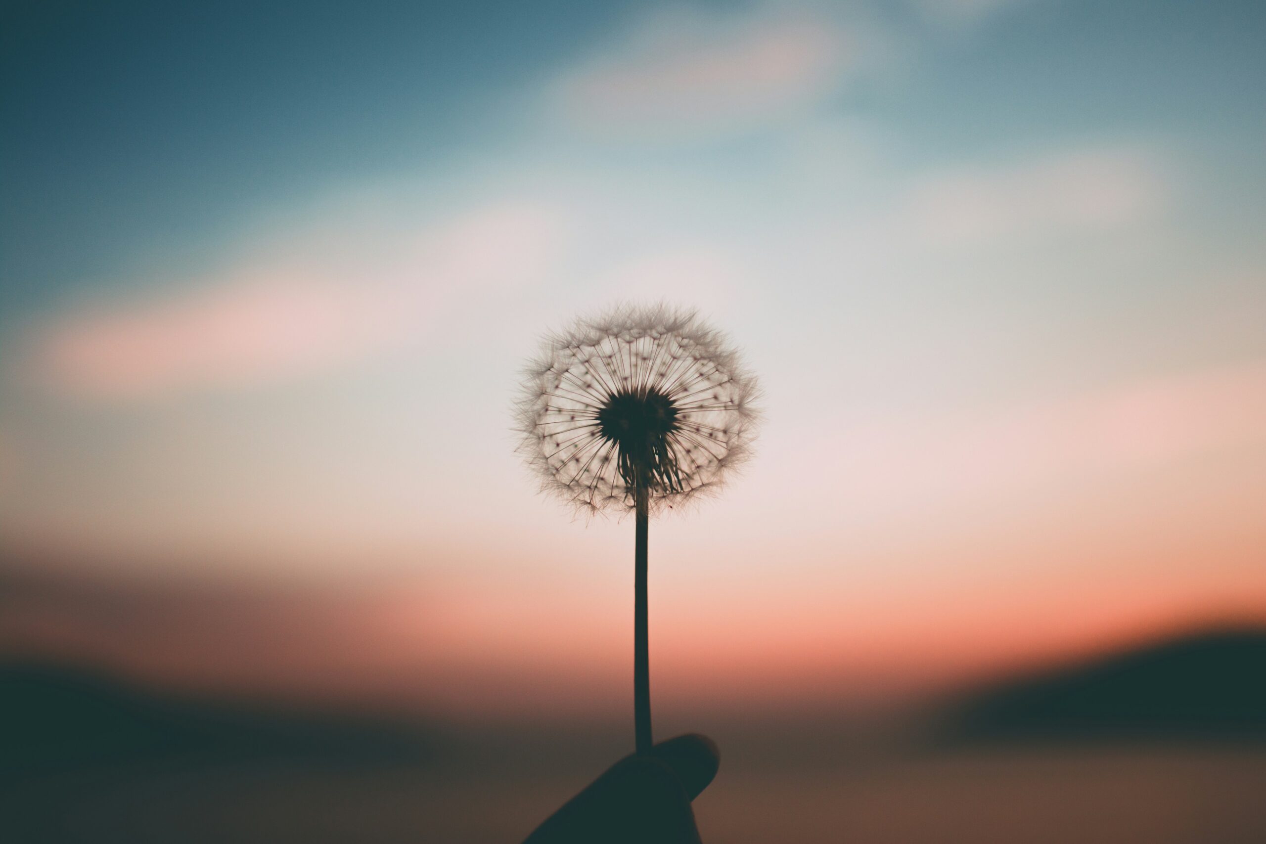 lichaamswerk, gronding, heling, energiewerk, nervus vagus reset, stress, burn-out, overbelasting, overspannen, trauma, herstel, verbinding, harmonie, zelfvertrouwen, persoonlijke kracht, balans, persoonlijke groei, coaching, loopbaan, keuzes, transformatie, psychomotorische therapie, sjamanisme, innerlijk leiderschap, deventer, Inge Hoogeveen