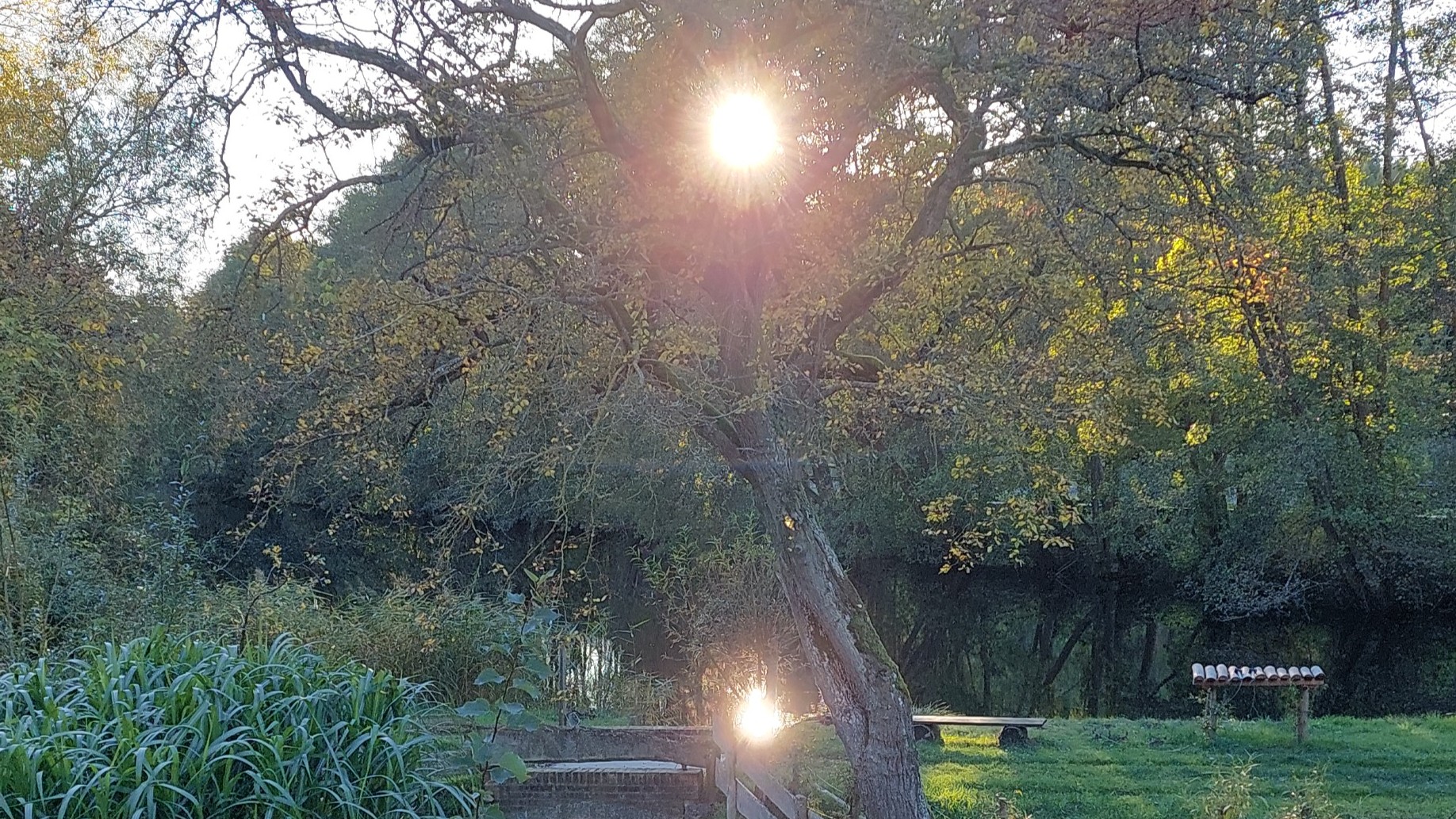 Inge Hoogeveen Coaching en Workshops