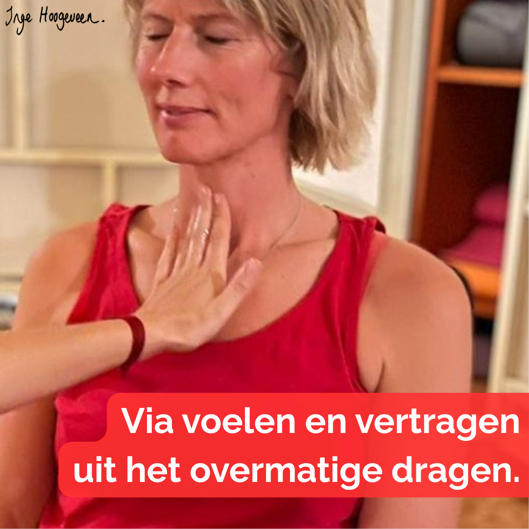 lichaamswerk, gronding, heling, klank, energiewerk, lemniscaat, ankh, nervus vagus reset, stress, burn-out, overbelasting, overspannen, trauma, herstel, balans, harmonie, energie, verbinding, zelfvertrouwen, persoonlijke groei, coaching, loopbaan, psychomotorische therapie, sjamanisme, innerlijk leiderschap, deventer, Inge Hoogeveen, blog