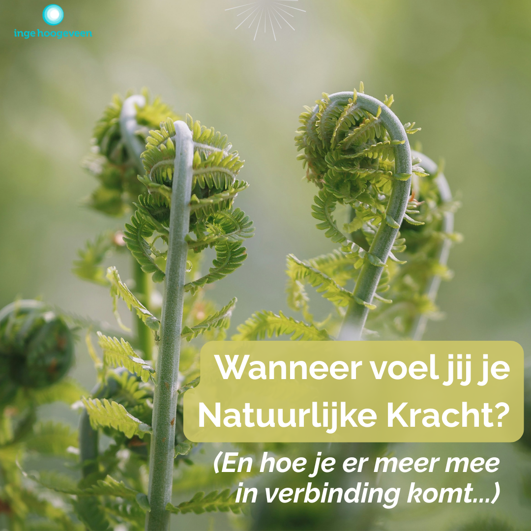 lichaamswerk, gronding, heling, klank, energiewerk, lemniscaat, ankh, nervus vagus reset, stress, burn-out, overbelasting, overspannen, trauma, herstel, balans, harmonie, energie, verbinding, zelfvertrouwen, persoonlijke groei, coaching, loopbaan, psychomotorische therapie, sjamanisme, innerlijk leiderschap, deventer, Inge Hoogeveen, blog